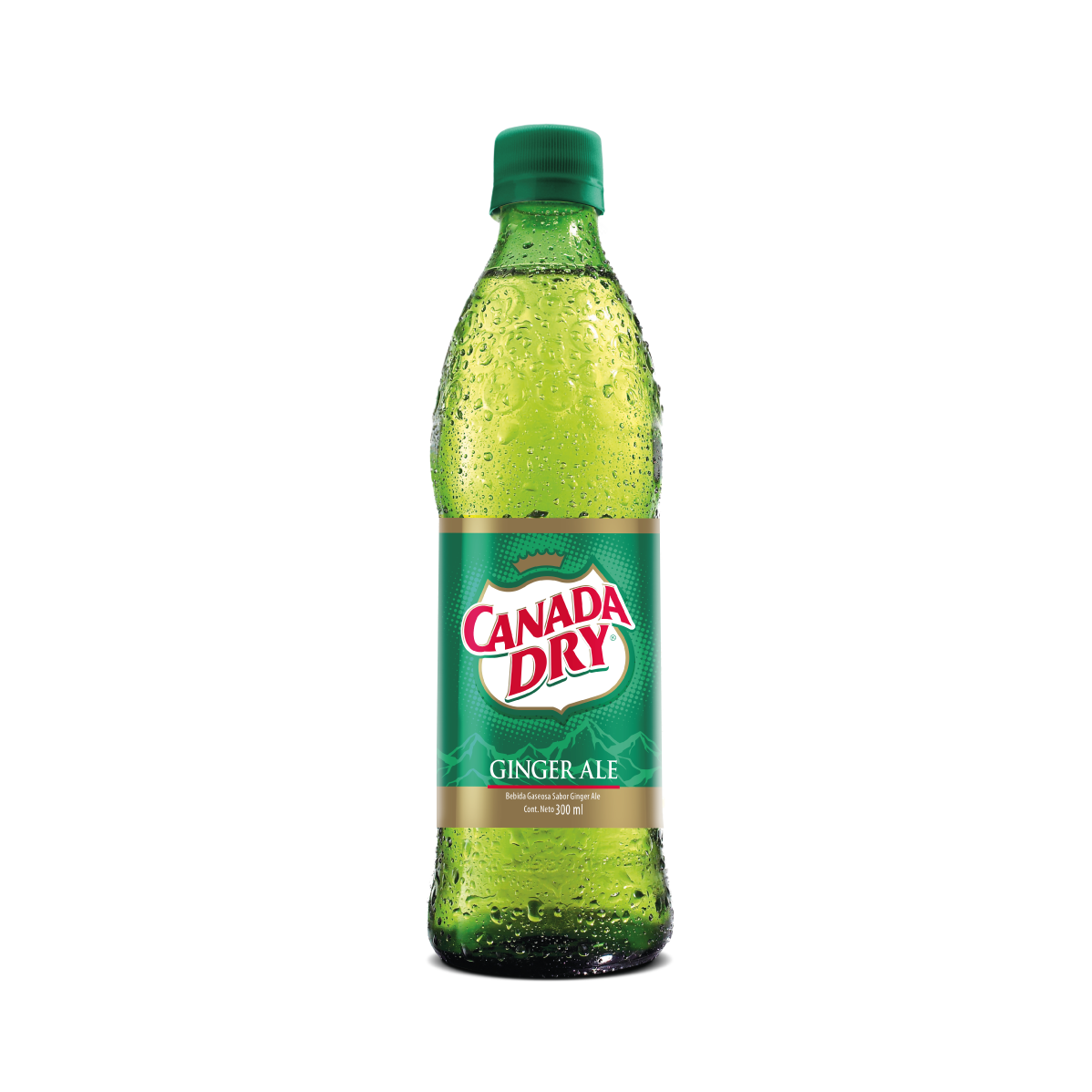 Ginger Canada Dry Botella Vidreo 300 Ml